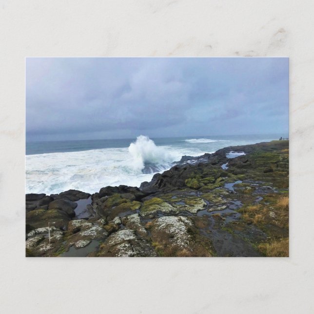 Boiler Bay State Wayside, Depoe Bay, Oregon Postcard (Front)