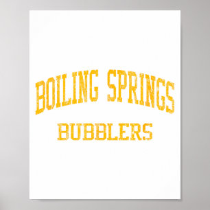 Boiling Springs High School Hs Boiling Springs Pa  Poster