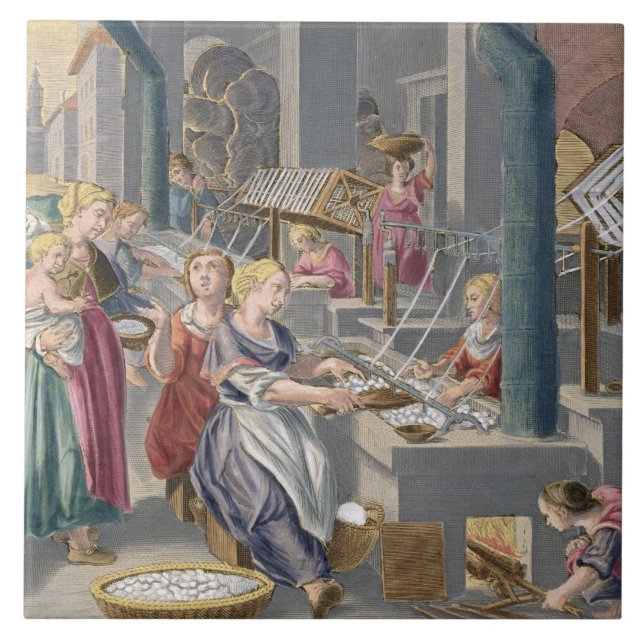 Boiling the Cocoons to Destroy the Chrysalids and Tile (Front)