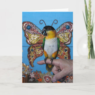 Boingo butterfly card 2