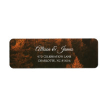 Bois d'automne minimaliste