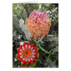 Bois de chauffage et Scarlet Banksia