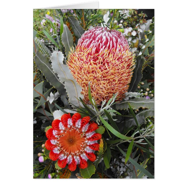 Bois de chauffage et Scarlet Banksia (Devant)