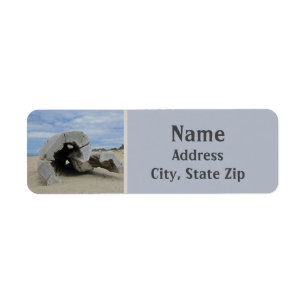 Bois de chauffe sur la plage de California Coast P