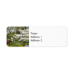 Bois de chien en fleurs