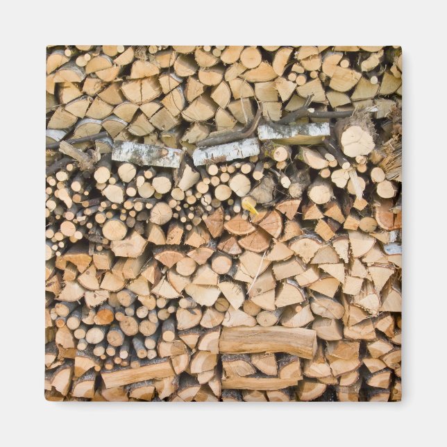 Bois haché sur un aimant à pile (Devant)