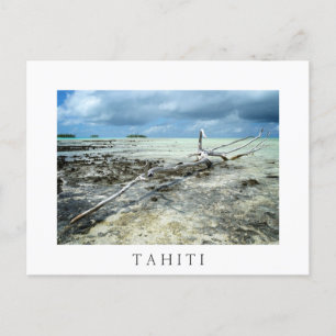 Bois mort en Tahiiti carte postale en texte blanc