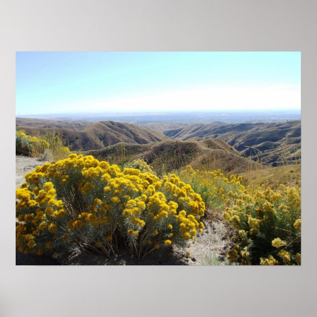 Boise Foothills Poster (Front)