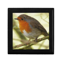 Boîte-cadeau rouge de Robin