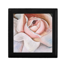 Rose rose douce en aquarelle par Jodi Mahaffey