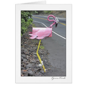Boîte aux lettres de Flamant rose
