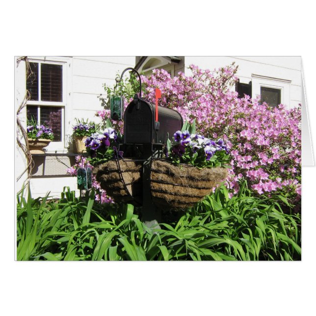 Boîte aux lettres parmi les fleurs—Carte (Devant horizontal)