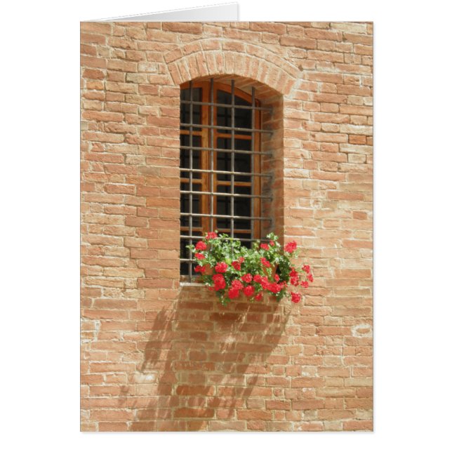 Boîte de fenêtre (Devant)