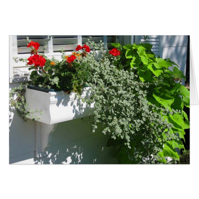 Boîte de fleur (Devant horizontal)