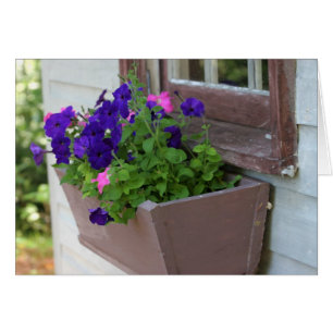 Boîte de fleur d'été - carte vierge