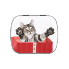 Étreinte de minou de Noël