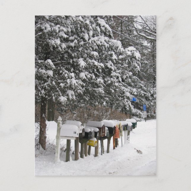 Boîtes de courrier d'hiver Carte postale de vacanc (Devant)