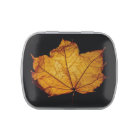 Feuille d'or d'automne