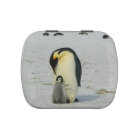 Mignonne mère de pingouin et bébé