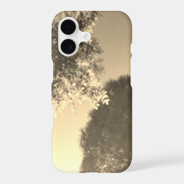 Boîtier iPhone 17 (Verso)