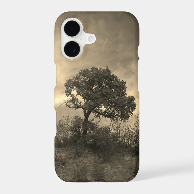 Boîtier iPhone 17 (Verso)