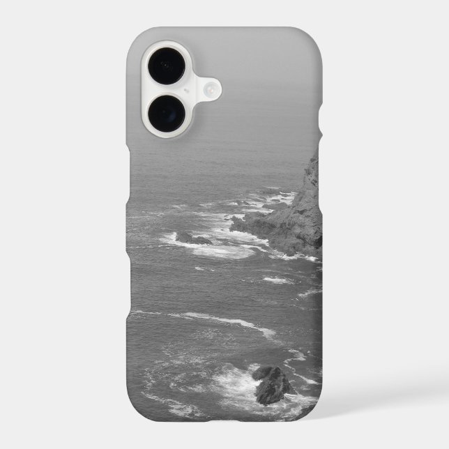 Boîtier iPhone 17 (Verso)