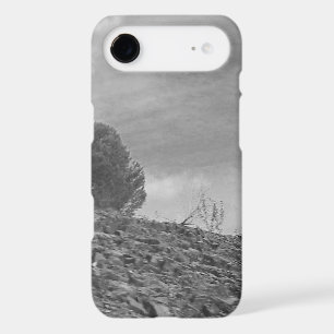 boîtier iphone 17