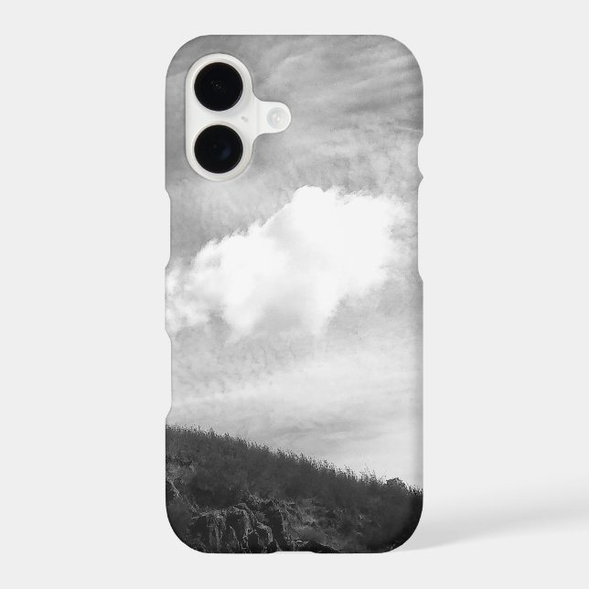 Boîtier iPhone 17 (Verso)