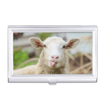 Mouton montrer langue