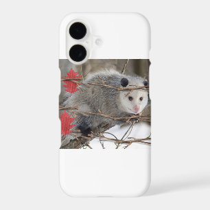 Boîtiers pour iPhone Opossum Nature