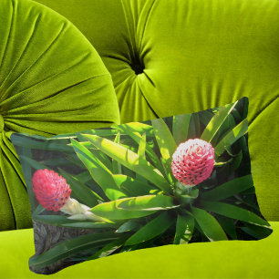 Bok Tower Garden Pink Tropical Flower - Bromeliad Lumbar Pillow