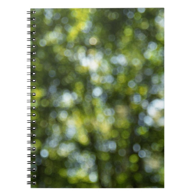 Bokeh in Spring Notebook (Front)