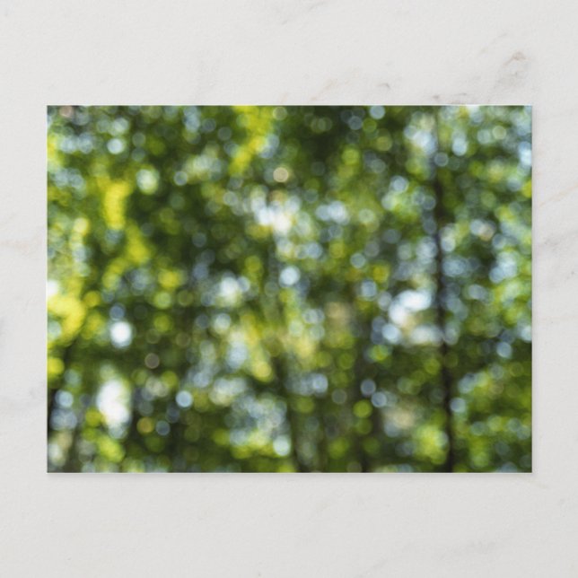 Bokeh in Spring Postcard (Front)