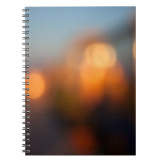 Bokeh Notebook