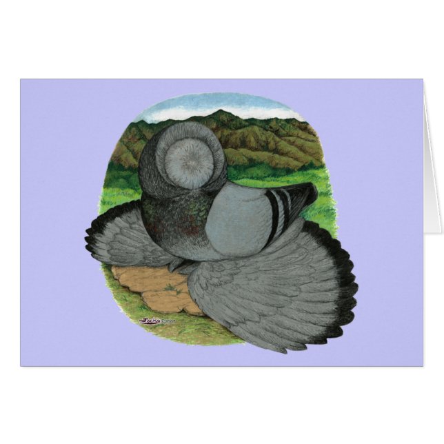 Bokhara Trumpeter Pigeon Blue (Devant Horizontal)