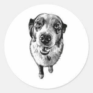 Bold Aussie Close-Up – Black & White Artistic Classic Round Sticker