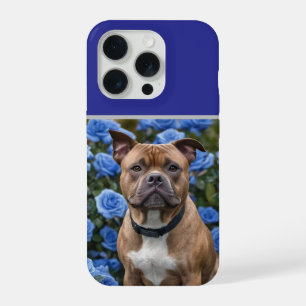 "Bold Beauty: A Brown Staffy in a Blue Rose Garden iPhone 15 Pro Case
