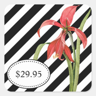 Bold Black and White Stripes Amaryllis Price Tags