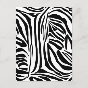 Bold Black and White Zebra Print Pattern Postcard