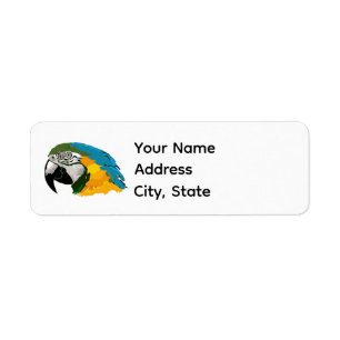 Bold Blue and Gold Macaw Address