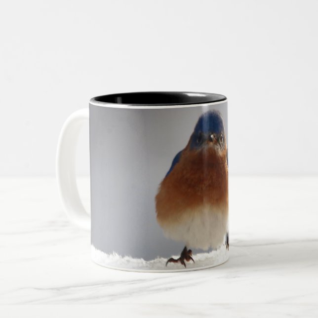 Bold Bluebird Two-Tone Coffee Mug (Front Left)