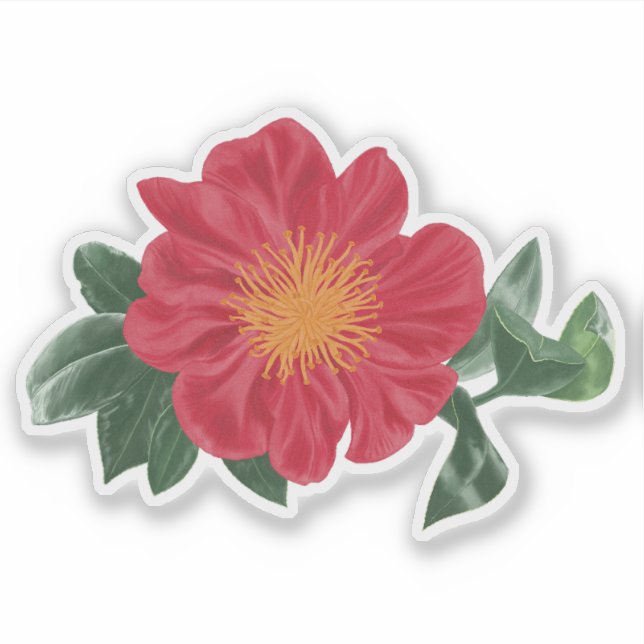Bold Camellia Blossom with Leaves Sticker (Front)