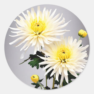 Bold Chrysanthemum Abstract Classic Round Sticker