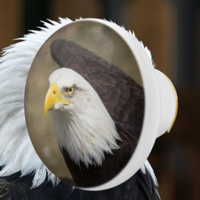 Bold Eagle Ceramic Drawer Knob – Strength (Creator Uploaded)