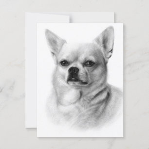 Bold Gaze - Exclusive Hand Painted Chihuahua Postcard
