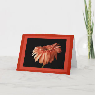 Bold Gerber Greeting Card