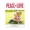 BOLD Holiday Photo Cards Postcard
