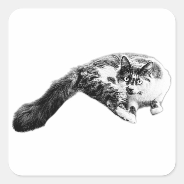 Bold Long‑Tail Cat Sticker (Front)