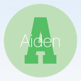 Bold Modern Monogram   Pale & Kelly Green Classic Round Sticker