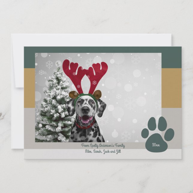 Bold Modern Pet Lover Funny Christmas Photo Holiday Card (Front)